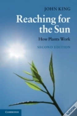 Capa do artigo Reaching For The Sun