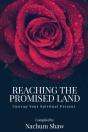 Reaching The Promised Land - Preview