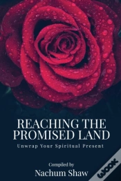 Capa do artigo Reaching The Promised Land