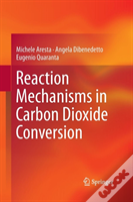 Reaction Mechanisms In Carbon Dioxide Conversion