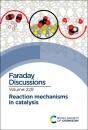 Reaction Mechanisms In Catalysis - Preview