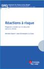 Réactions À Risque ; Regards Croisés Sur La Sécurité Dans La Chimie - Preview