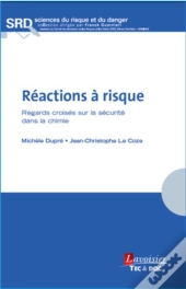 Réactions À Risque ; Regards Croisés Sur La Sécurité Dans La Chimie