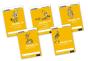 Read Write Inc. Fresh Start: Modules 16-20 - Mixed Pack Of 5 - Preview