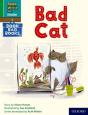 Read Write Inc. Phonics: A Bad Cat (Green Set 1 Book Bag Book 3) - Preview