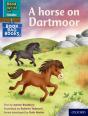 Read Write Inc. Phonics: A Horse On Dartmoor (Blue Set 6 Book Bag Book 2) - Preview