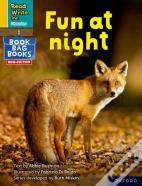 Read Write Inc. Phonics: Fun At Night (Yellow Set 5 Nf Book Bag Book 8)