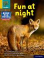 Read Write Inc. Phonics: Fun At Night (Yellow Set 5 Nf Book Bag Book 8) - Preview