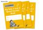 Read Write Inc. Phonics: My Sets 2 And 3 Speed Sounds Book (Pack Of 30) - Preview