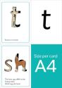 Read Write Inc. Phonics: Set 1 Speed Sounds Cards (A4) - Preview