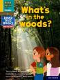Read Write Inc. Phonics: What'S In The Woods? (Yellow Set 5 Nf Book Bag Book 10) - Preview