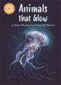 Reading Champion: Animals That Glow - Preview