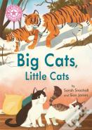 Reading Champion: Big Cats, Little Cats