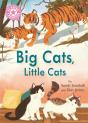 Reading Champion: Big Cats, Little Cats - Preview