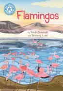 Reading Champion: Flamingos