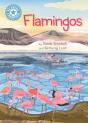 Reading Champion: Flamingos - Preview