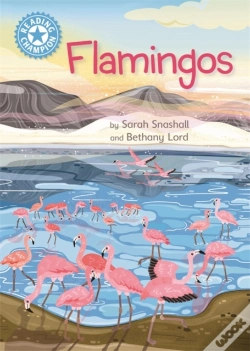 Capa do artigo Reading Champion: Flamingos