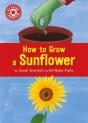 Reading Champion How To Grow A Sunflow - Preview