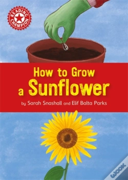 Capa do artigo Reading Champion How To Grow A Sunflow