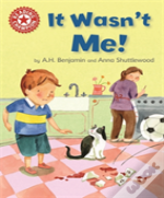Reading Champion: It Wasn'T Me!