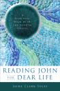 Reading John For Dear Life - Preview