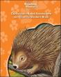 Reading Mastery Reading/Literature Strand Grade 1, Assessment & Fluency Student Book Pkg/15 - Preview