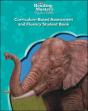 Reading Mastery Reading/Literature Strand Grade 5, Assessment & Fluency Student Book Pkg/15 - Preview