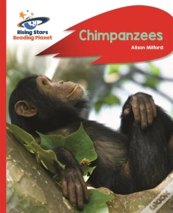 Capa do artigo Reading Planet - Chimpanzees - Red B: Rocket Phonics