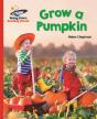 Reading Planet - Grow A Pumpkin - Red B: Galaxy - Preview