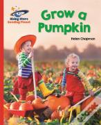 Reading Planet - Grow A Pumpkin - Red B: Galaxy
