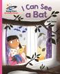 Reading Planet - I Can See A Bat - Pink A: Galaxy - Preview