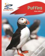 Reading Planet - Puffins - Red A: Rocket Phonics