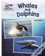 Reading Planet - Whales And Dolphins - White: Galaxy