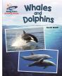 Reading Planet - Whales And Dolphins - White: Galaxy - Preview