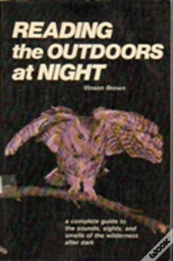 Capa do artigo Reading The Outdoors At Night