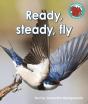 Ready, Steady, Fly - Preview