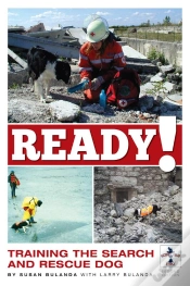 Capa do artigo Ready!