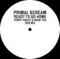 Ready to Go Home (Terry Farley & Wade Teo Dub Mix) - Vinil - Preview