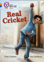 Real Cricket - Preview