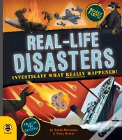 Capa do artigo Real-Life Disasters