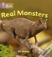 Capa do artigo Real Monsters