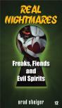 Real Nightmares (Book 12) - Preview