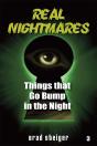 Real Nightmares (Book 3) - Preview