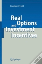 Real Options And Investment Incentives