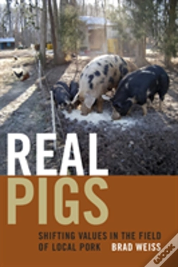 Capa do artigo Real Pigs
