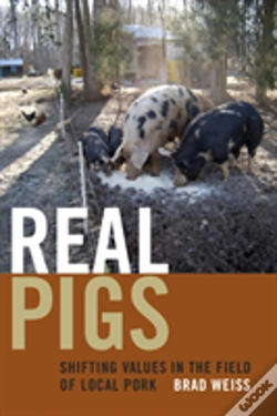 Capa do artigo Real Pigs