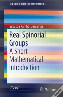 Capa do artigo Real Spinorial Groups