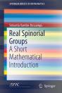 Real Spinorial Groups - Preview