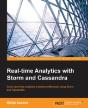 Real-Time Analytics With Storm And Cassandra - Preview