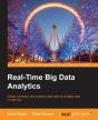 Real-Time Big Data Analytics - Preview